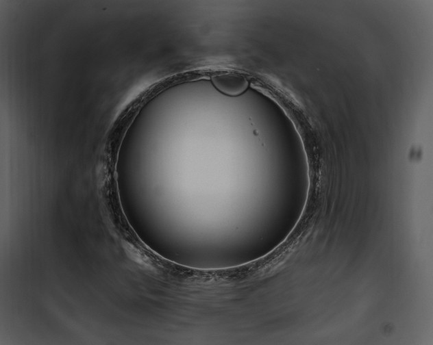 X0000102011400200807181217