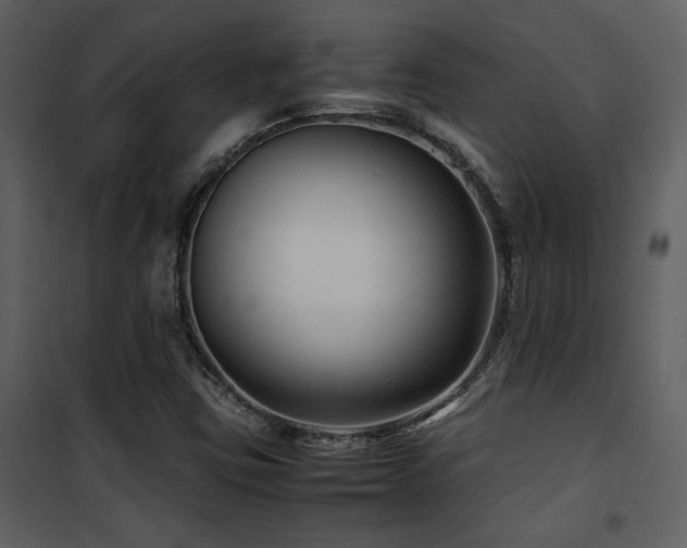X0000102011403200807181217