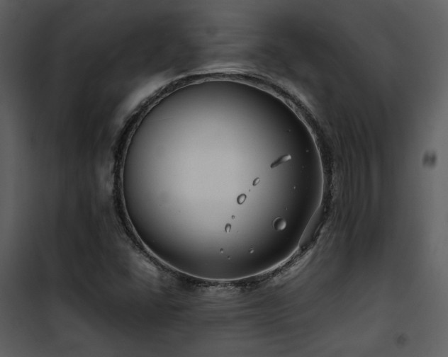 X0000102011406200807181217
