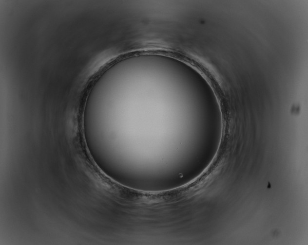 X0000102011407200807181217