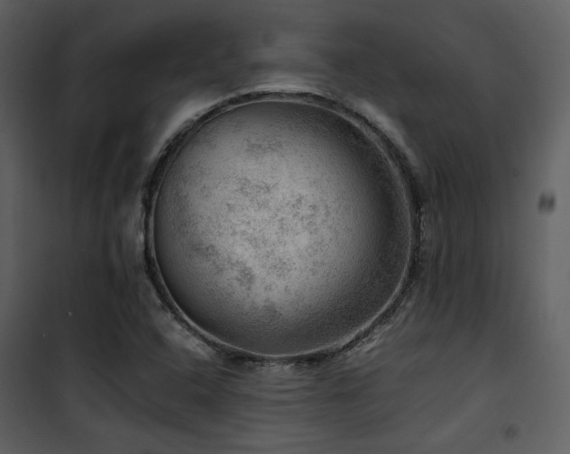 X0000102011408200807181217