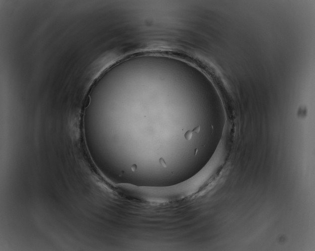 X0000102011409200807181217