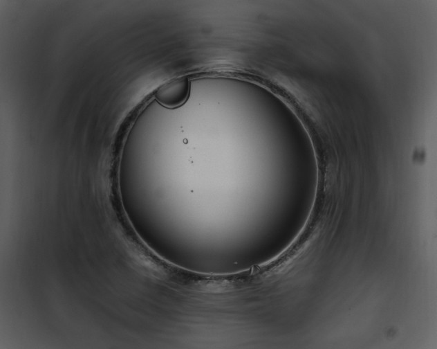 X0000102011410200807181217