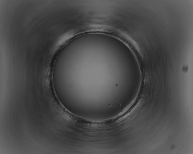 X0000102011411200807181217