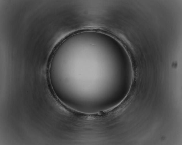 X0000102011412200807181217