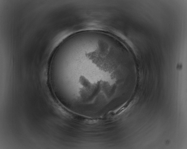 X0000102011415200807181217