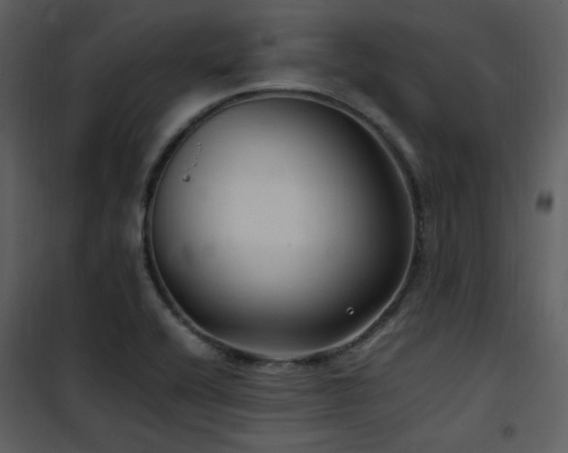 X0000102011416200807181217