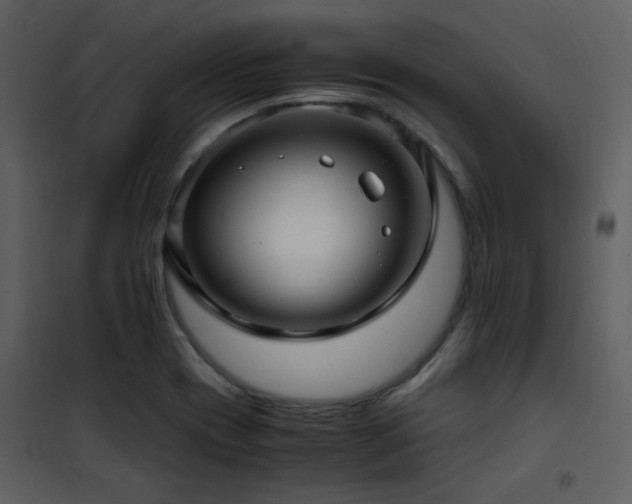 X0000102011417200807181217