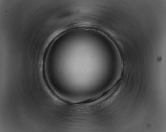 X0000102011418200807181217
