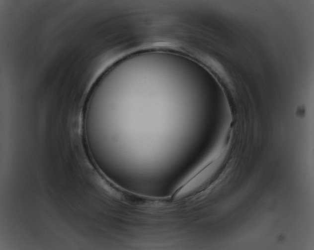 X0000102011420200807181218