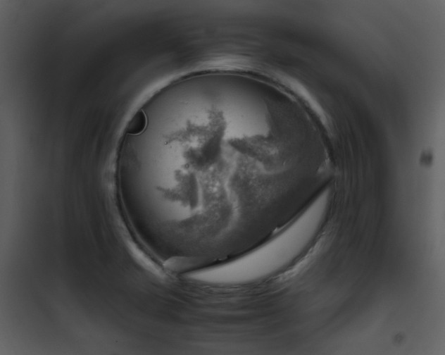 X0000102011421200807181218