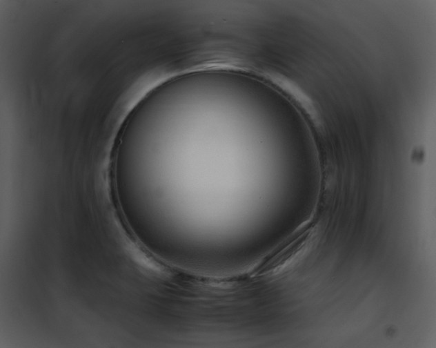 X0000102011423200807181218