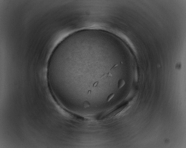 X0000102011424200807181218
