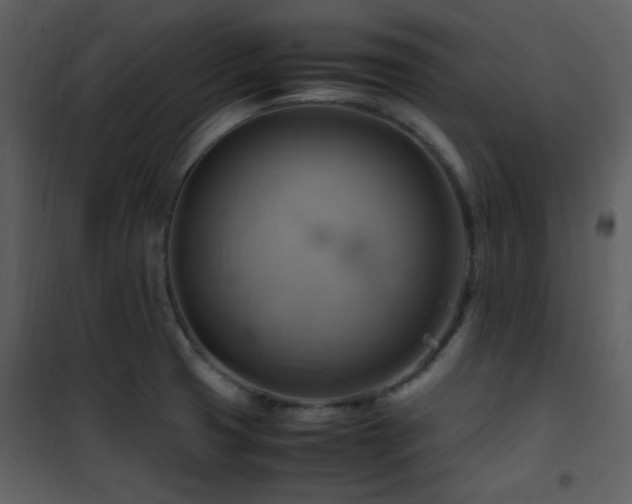 X0000102011425200807181218