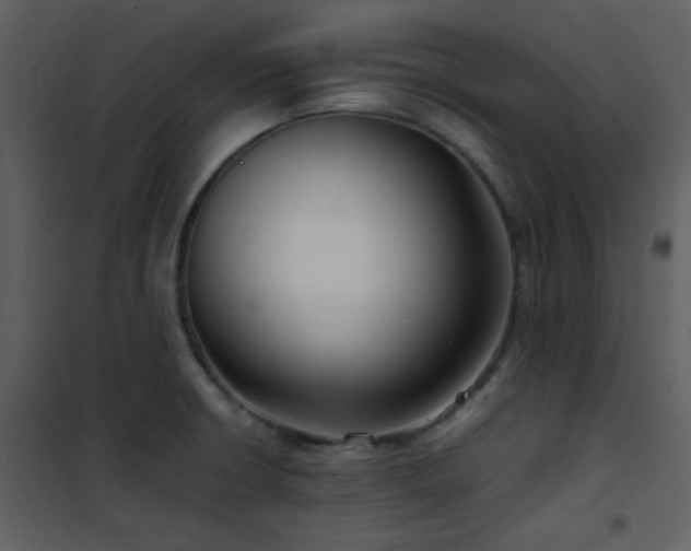 X0000102011426200807181218