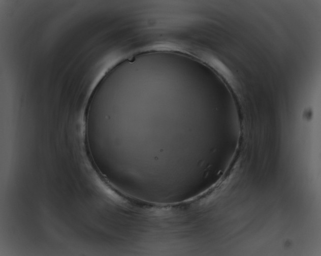 X0000102011428200807181218