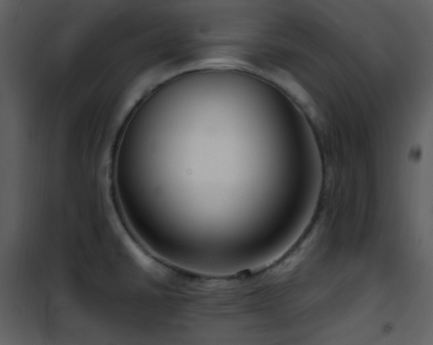 X0000102011430200807181218