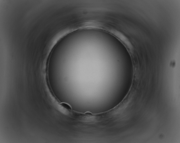 X0000102011431200807181218