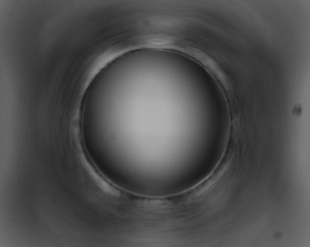 X0000102011432200807181218