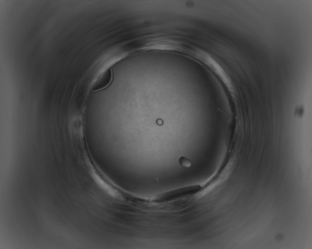 X0000102011433200807181218