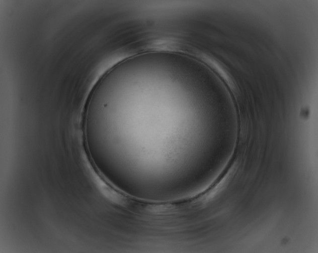 X0000102011434200807181218