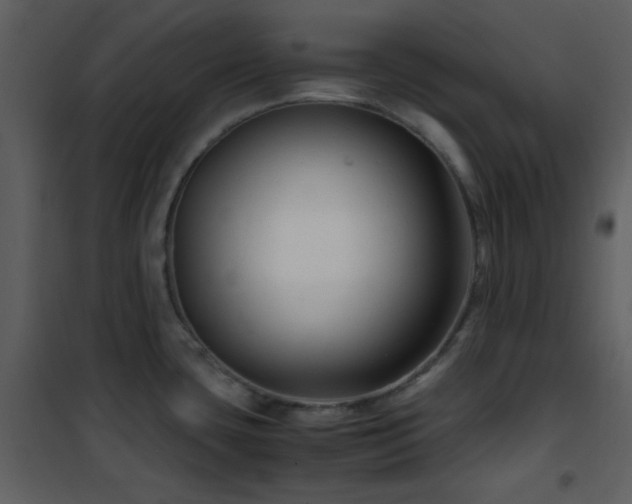 X0000102011435200807181218