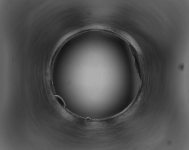 X0000102011436200807181218