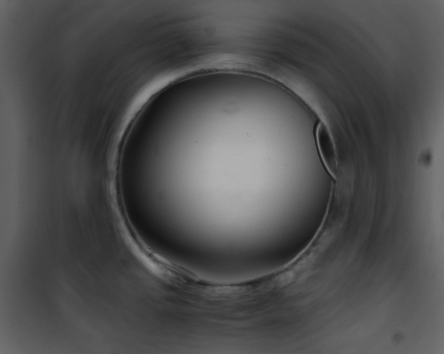 X0000102011437200807181218