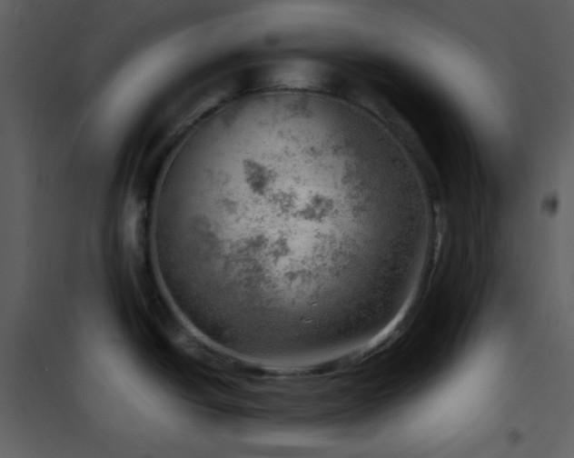 X0000102011438200807181218