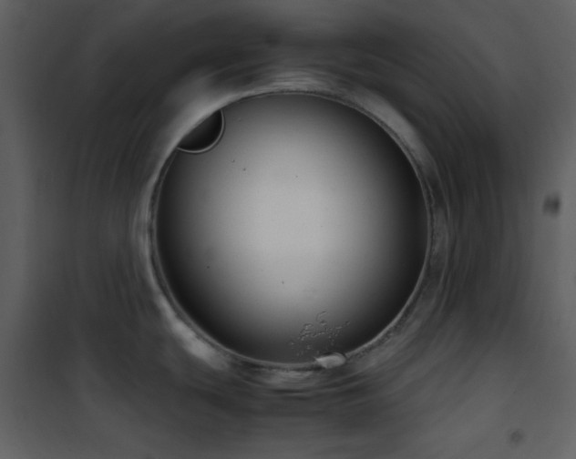 X0000102011439200807181218