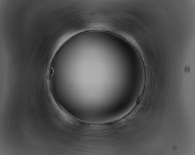 X0000102011440200807181218