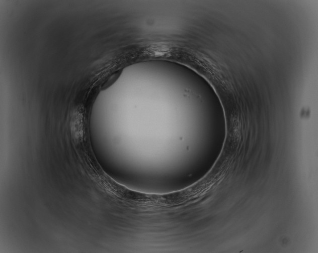 X0000102011442200807181217