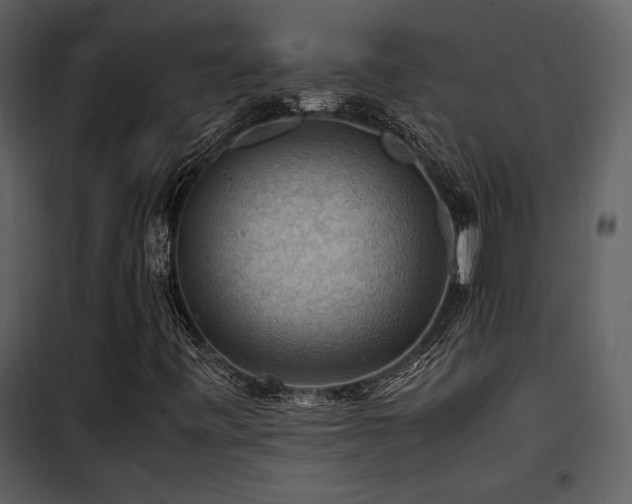 X0000102011443200807181217