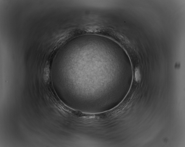 X0000102011444200807181217