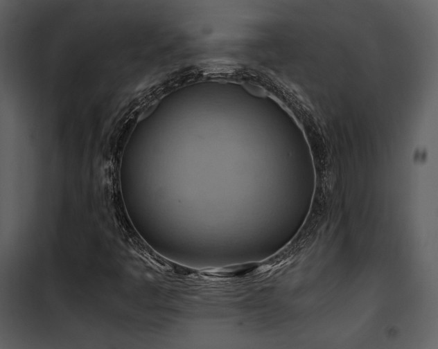 X0000102011445200807181217