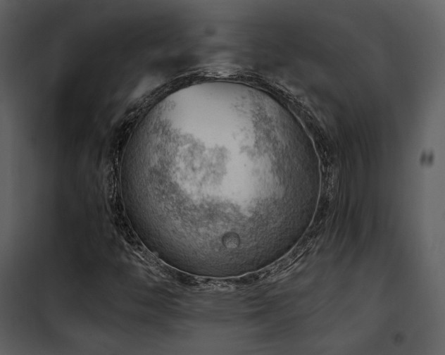 X0000102011446200807181217