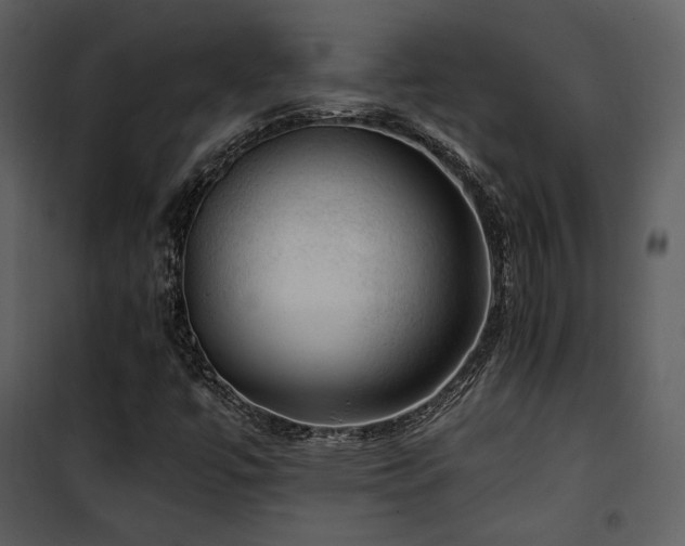 X0000102011447200807181217