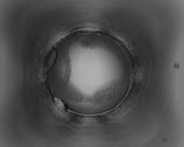 X0000102011448200807181217