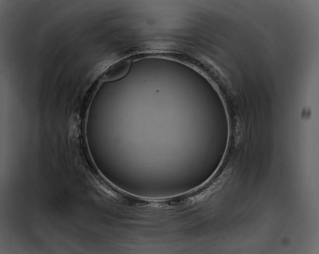X0000102011449200807181217