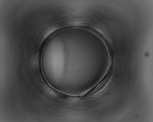 X0000102011450200807181217