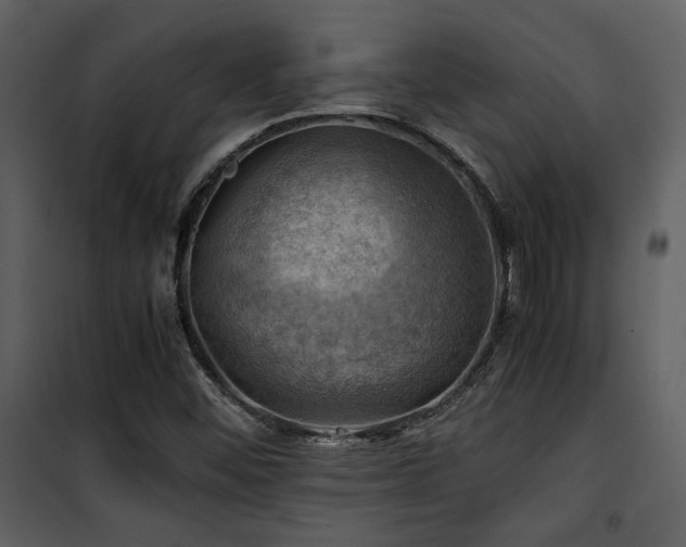 X0000102011452200807181217