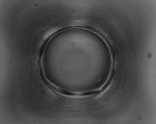 X0000102011453200807181217