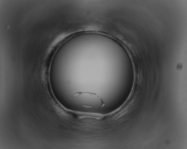 X0000102011454200807181217