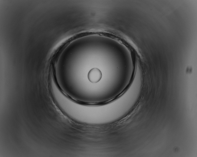X0000102011456200807181217