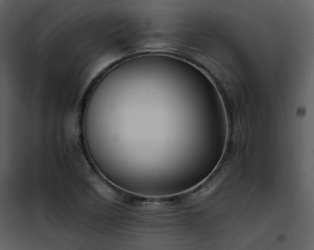 X0000102011458200807181217