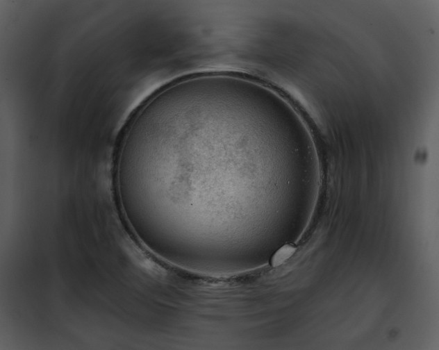 X0000102011460200807181217