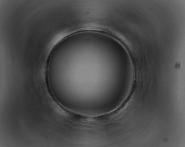 X0000102011463200807181217