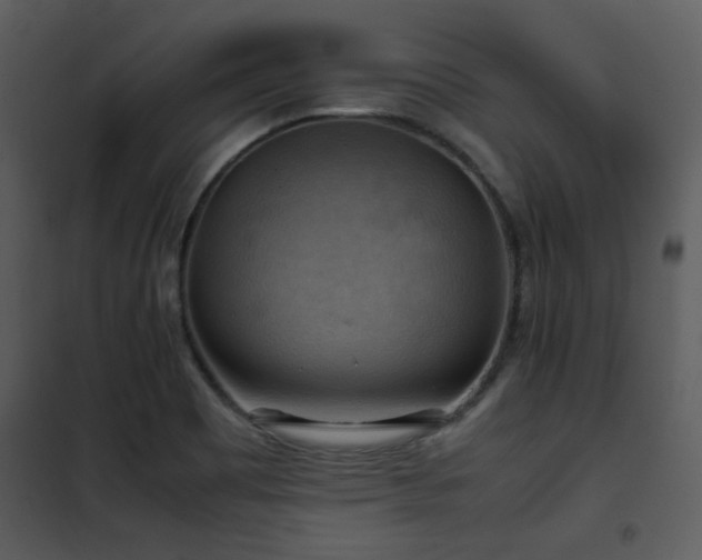 X0000102011465200807181217