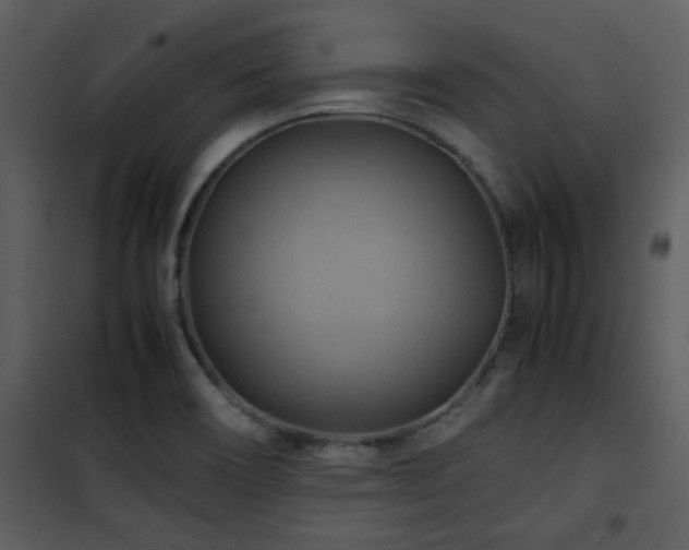 X0000102011466200807181217
