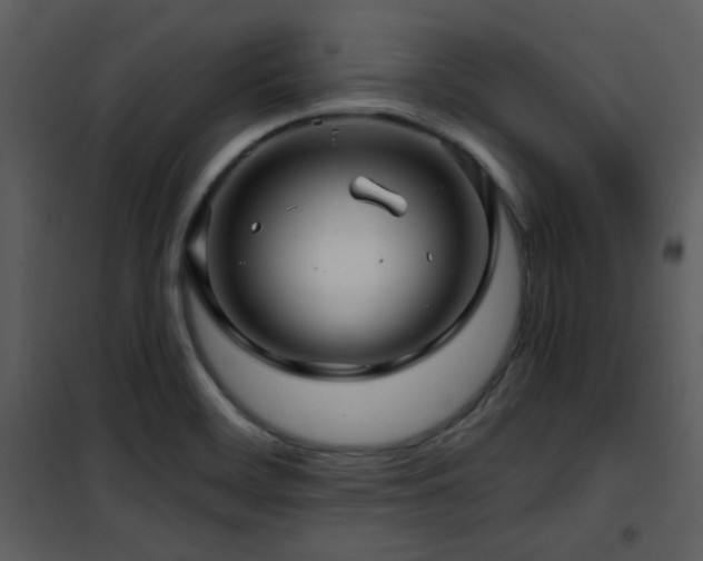 X0000102011468200807181217